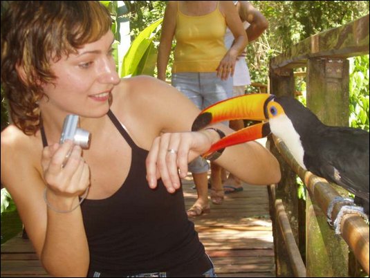 Nancy mit Tucano