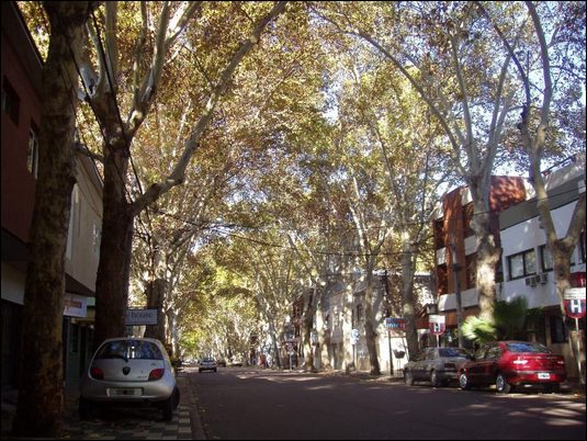 Mendoza