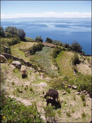 Taquile